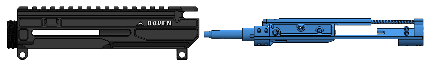 remove bcg