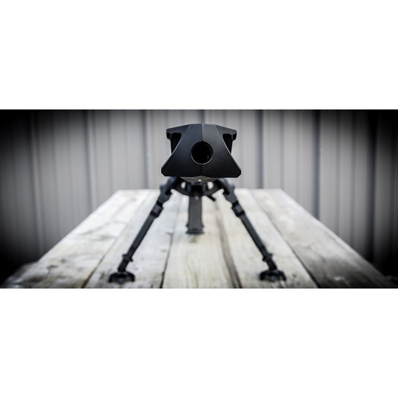 Lockhart Tactical  Raven Modular Semi-Auto Rifles - Cadex Defence