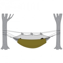 hammocks