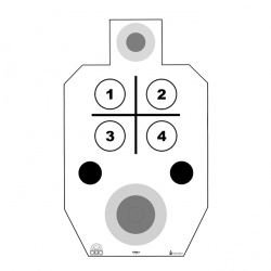 timm-1_l