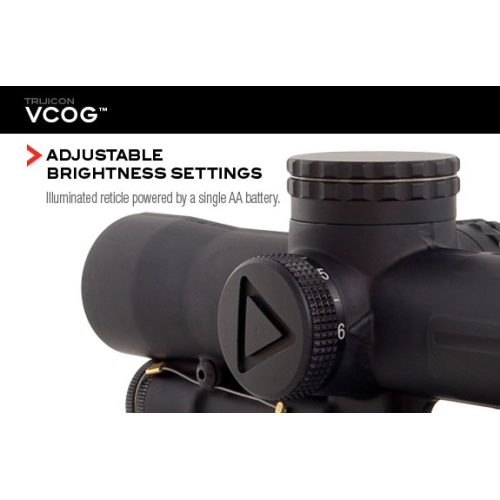 vcog-features4_1164534403