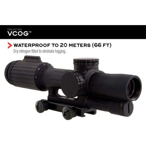 vcog-features8_1724433746